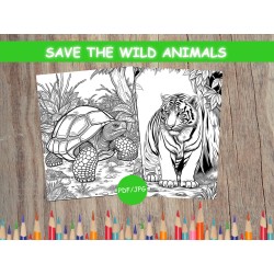 Coloriage animaux sauvages Tortue Tigre