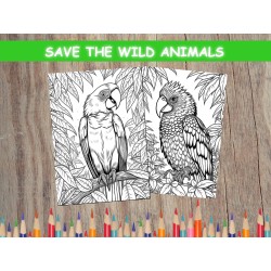 Coloriage animaux sauvages Perroquets