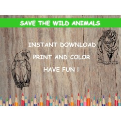 Coloriage animaux sauvages DOWNLOAD PRINT COLOR