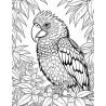 Coloriage animaux sauvages Perroquet