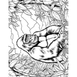 Coloriage animaux sauvages Gorille