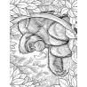 Coloriage animaux sauvages Orang Outan