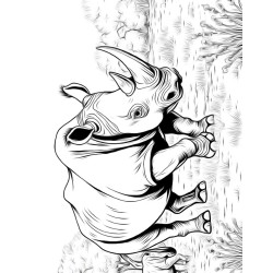 Coloriage animaux sauvages Rhinocéros
