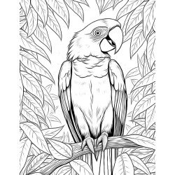 Coloriage animaux sauvages Perroquet