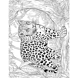 Coloriage animaux sauvages Léopard Guépard