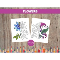 Pages à colorier pour enfants FLEURS Coloriage fleurs facile Coloriage réaliste 12 Feuilles à colorier imprimables Pdf Cadeau