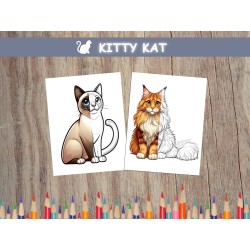 Coloriage CHATS siamois Maine coon
