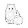 Coloriage CHATS persan