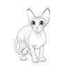 Coloriage CHATS sphynx